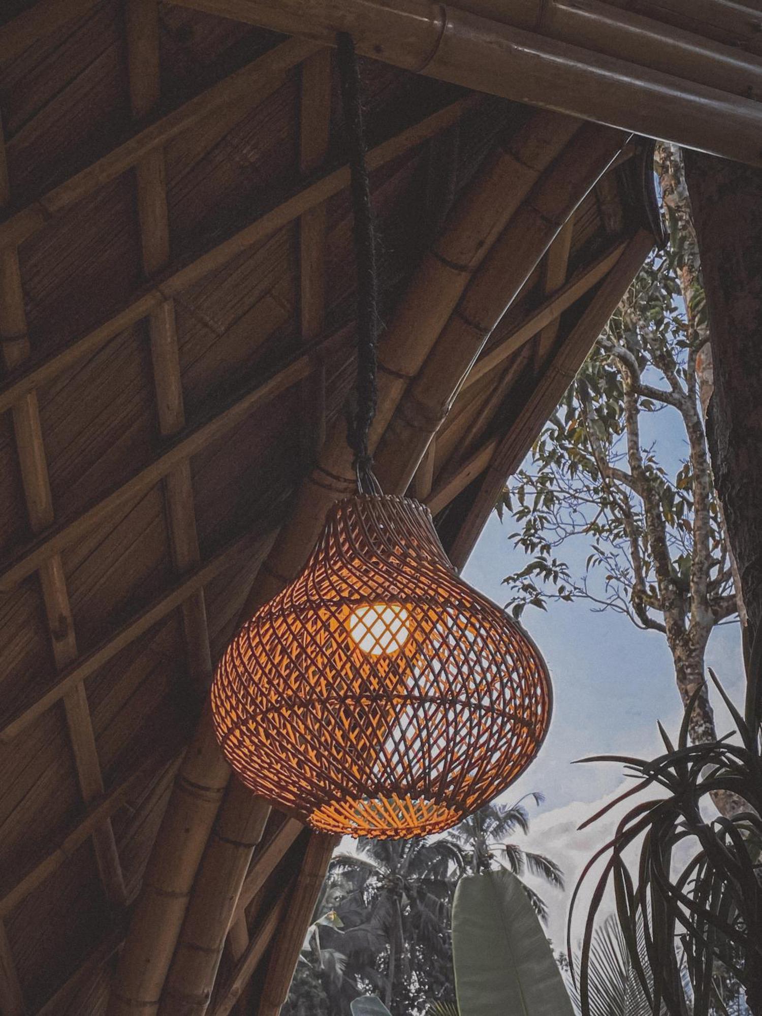 Alamvaya Bali Bamboo House Villa Sidemen  Eksteriør bilde