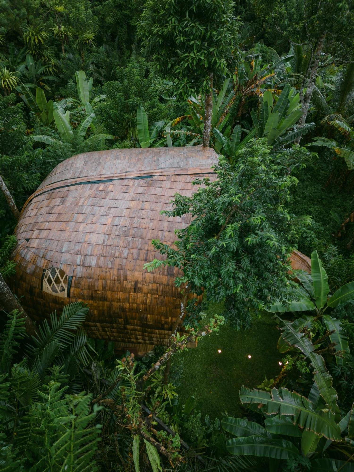 Alamvaya Bali Bamboo House Villa Sidemen  Eksteriør bilde