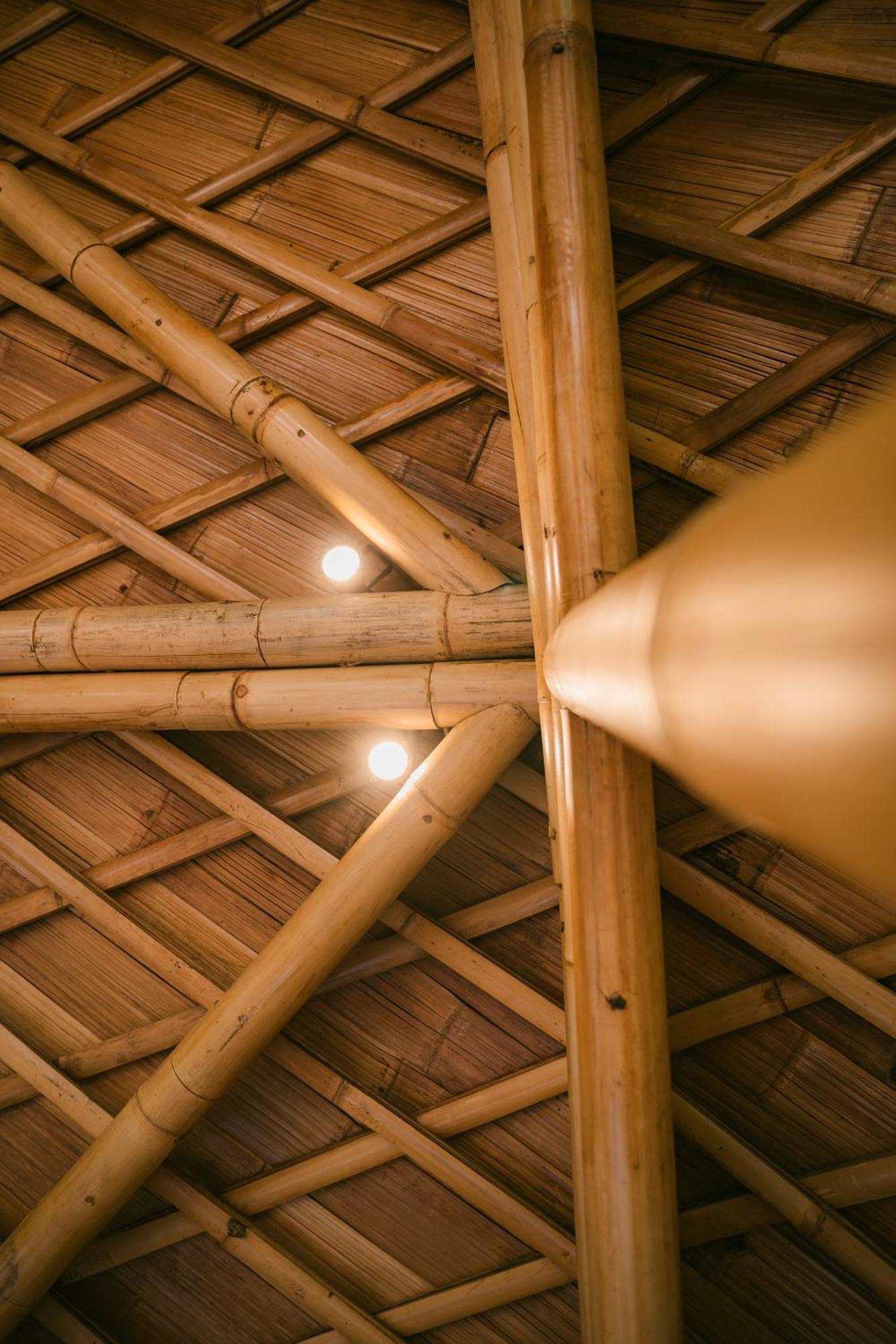 Alamvaya Bali Bamboo House Villa Sidemen  Eksteriør bilde