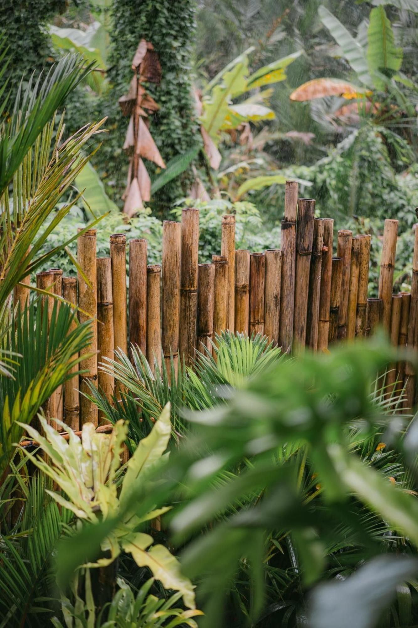 Alamvaya Bali Bamboo House Villa Sidemen  Eksteriør bilde